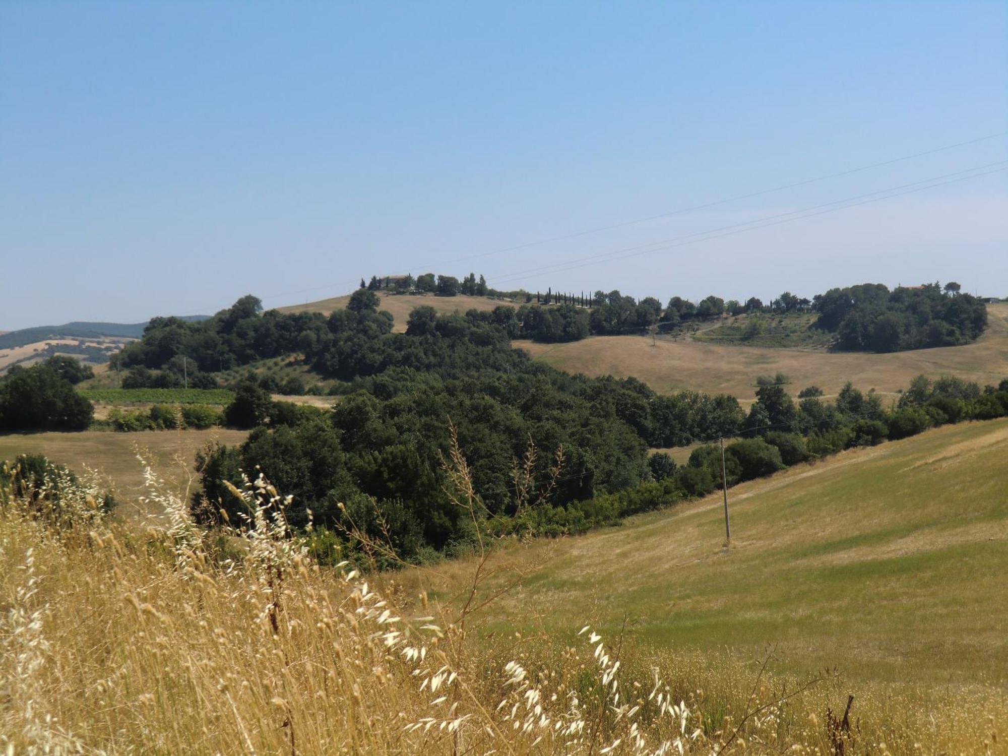 Agriturismo Cavallin Del Bufalo Manciano Eksteriør billede
