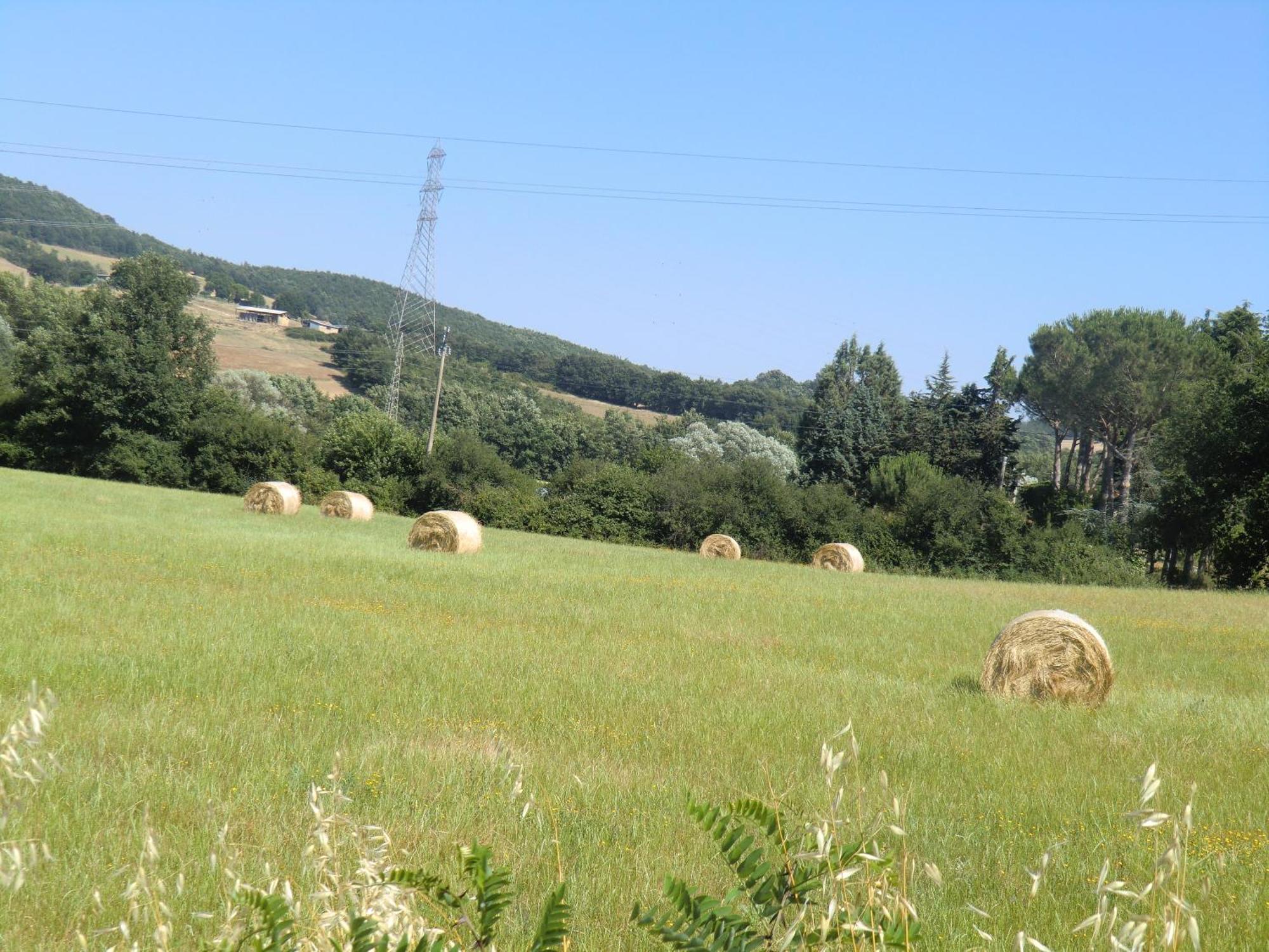 Agriturismo Cavallin Del Bufalo Manciano Eksteriør billede